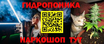 стафф Бугуруслан