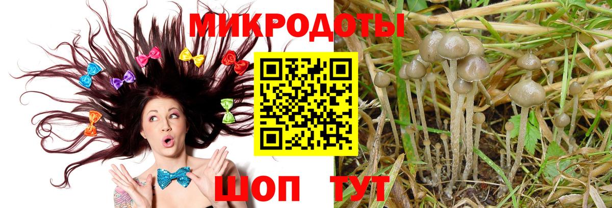 Ижевск  цены наркотик  Вход с VPN  Галлюциногенные грибы Cubensis  Псилоцибиновые грибы прущие грибы 