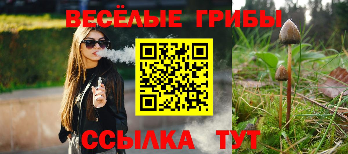 Псилоцибиновые грибы Psilocybe Ижевск